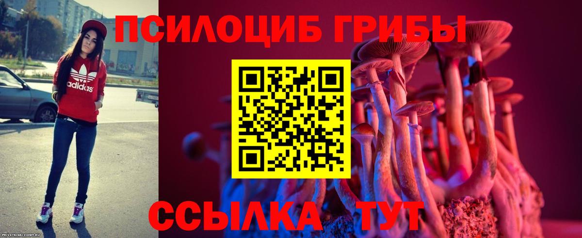 Псилоцибиновые грибы Cubensis  Вход с VPN  Кимры  Галлюциногенные грибы Magic Shrooms 